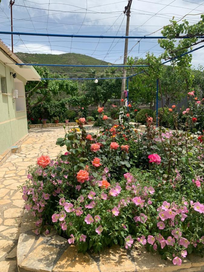 Vjosa Guest House Memaliaj ภายนอก รูปภาพ